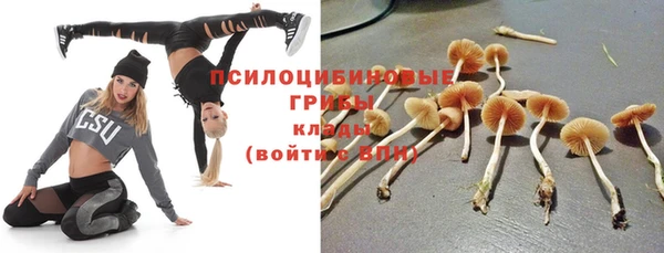 MDMA Горнозаводск
