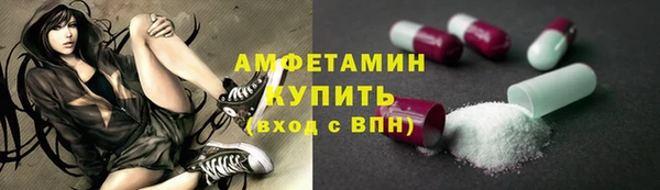 прущие грибы Горно-Алтайск