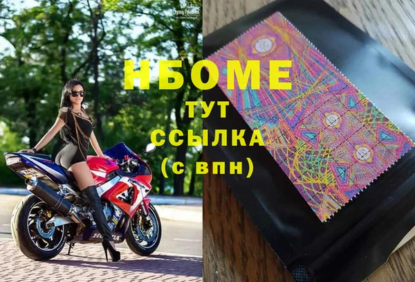 прущие грибы Горно-Алтайск