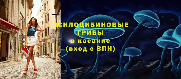 прущие грибы Горно-Алтайск