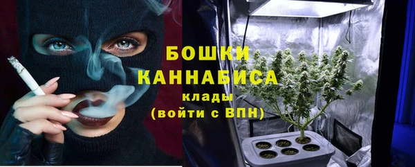 прущие грибы Горно-Алтайск