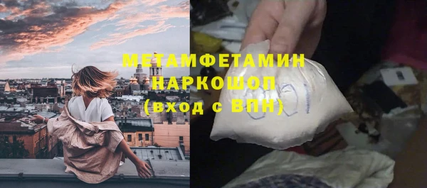 прущие грибы Горно-Алтайск