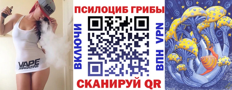 Псилоцибиновые грибы Cubensis  как найти наркотики  Приволжский 